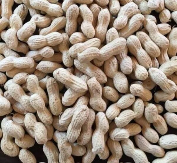 Peanut