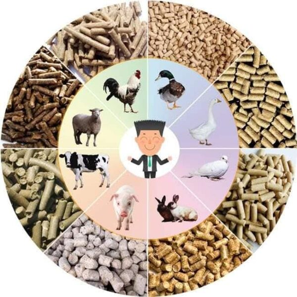 Animals fodder